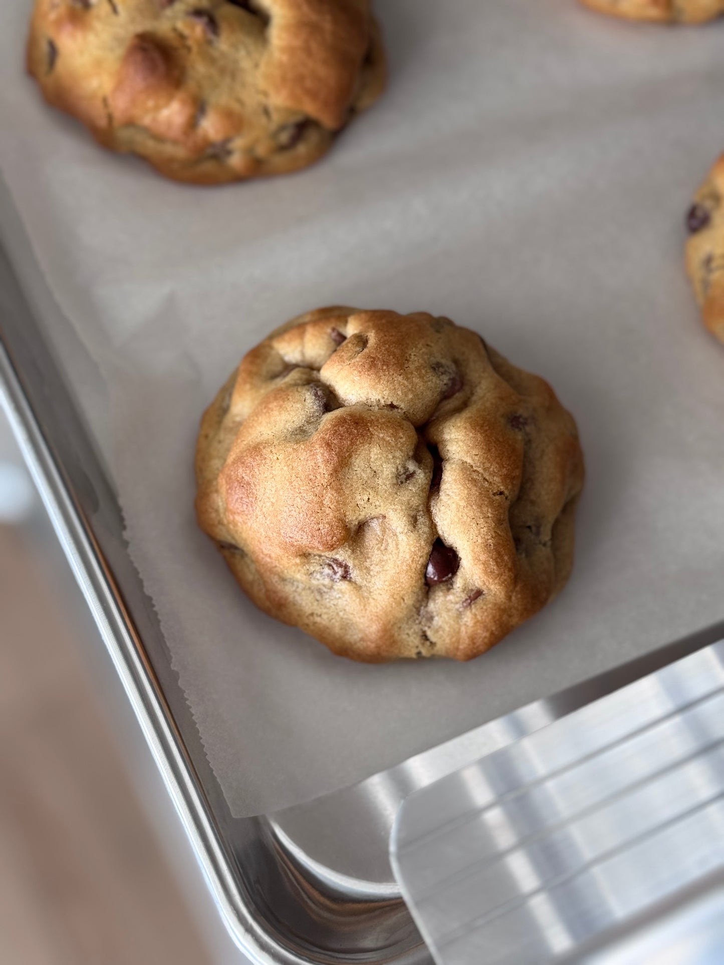 Chocolate Chips